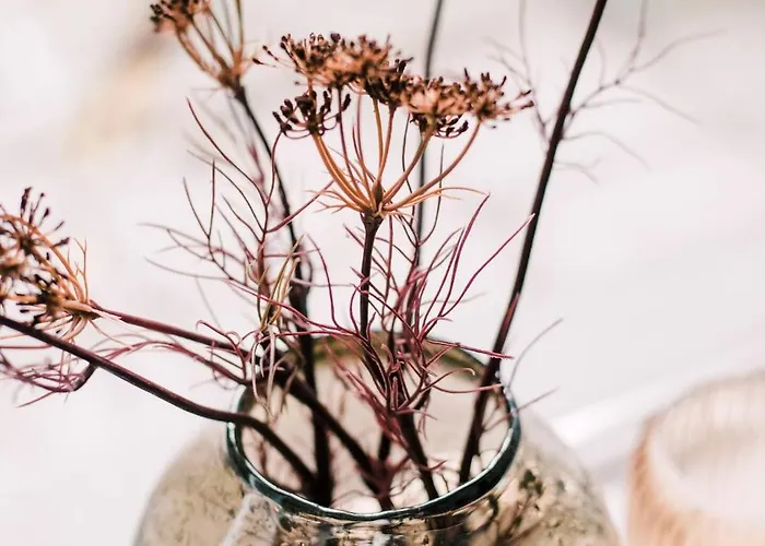 Child Favorite Coach House 아파트